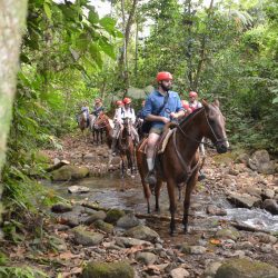 La-Fortuna-Waterfall-Horseback-Riding